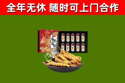 舞钢回收冬虫夏草价格