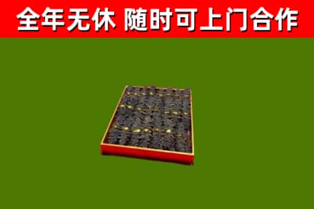 舞钢回收海参